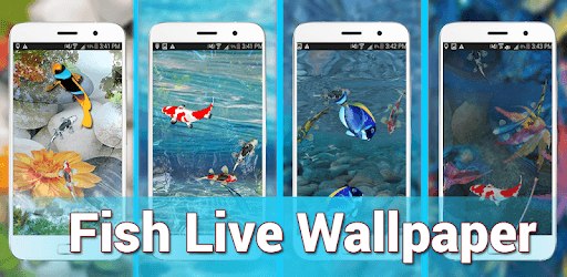 Fish Live 3D Wallpaper 2018 : Dynamic Aquarium Koi PC screenshot