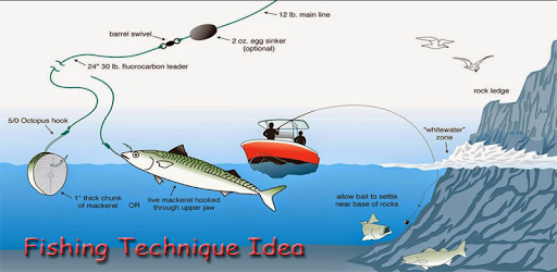 Fishing Technique Idea PC screenshot
