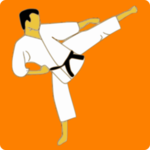 Kung Fu Master for PC