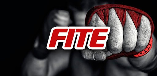 FITE - Boxing, Wrestling, MMA PC screenshot