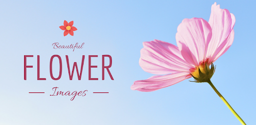 Flowers Images PC screenshot