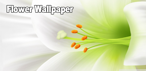 Flower Wallpaper PC screenshot Flower Wallpaper PC screenshot