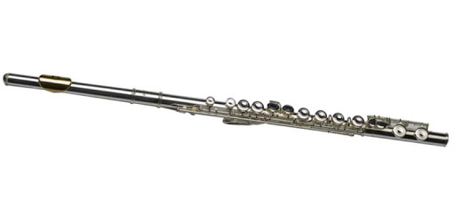 ALL about FLUTE PC screenshot ALL about FLUTE PC screenshot