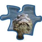 Safari Jigsaw animal puzzles for PC Safari Jigsaw animal puzzles for PC
