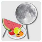 Lunar calendar of fasts and diets icon