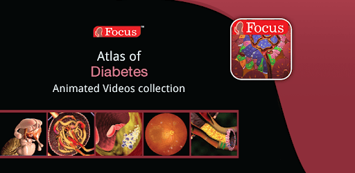 Animated Atlas of Diabetes PC screenshot
