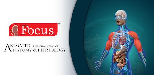 Anatomy & Physiology-Animated PC screenshot Anatomy & Physiology-Animated PC screenshot