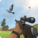 Pigeon Hunting Pigeon Pop Pigeon Shoot icon