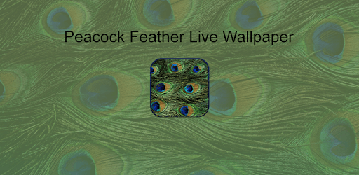 HD Peacock Feather Wallpaper PC screenshot HD Peacock Feather Wallpaper PC screenshot
