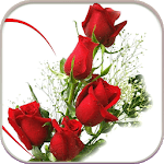 HD Rose Flowers Live Wallpaper icon