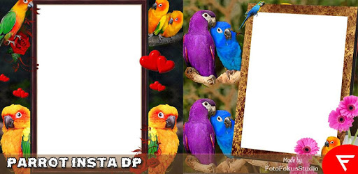 Parrot Insta DP PC screenshot