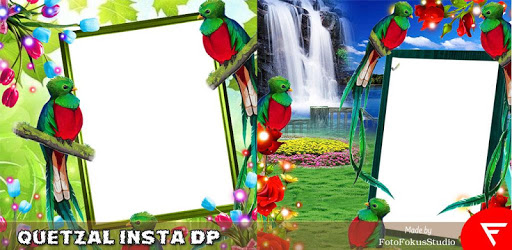 Quetzal Insta DP PC screenshot