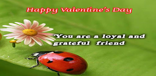 Happy Valentine's Day Wishes PC screenshot Happy Valentine's Day Wishes PC screenshot