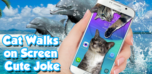 Cat Walks on Screen Cute Joke PC screenshot
