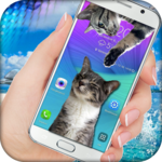 Cat Walks on Screen Cute Joke for PC