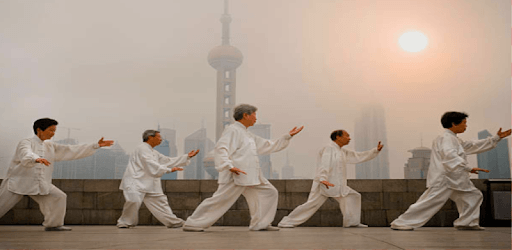 Tai Chi Training PC screenshot