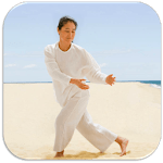 Tai Chi Training for PC