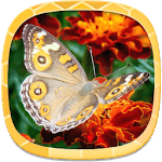 Free Wallpapers for Mobile for PC Free Wallpapers for Mobile for PC