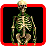 Skeleton On Screen for PC Skeleton On Screen for PC