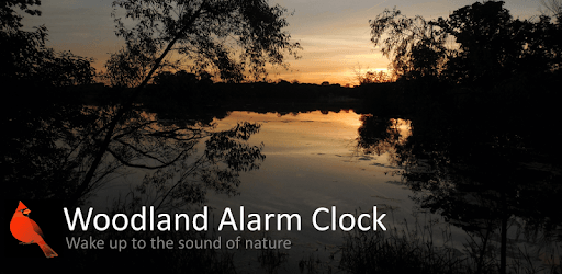 Woodland Alarm Clock PC screenshot Woodland Alarm Clock PC screenshot