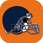 Wallpapers for Chicago Bears Fans for PC