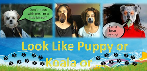 Look Like Puppy PC screenshot