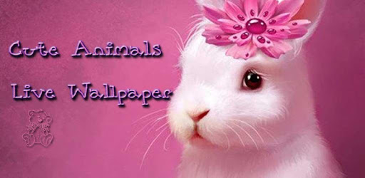 Cute Animals Live Wallpaper PC screenshot