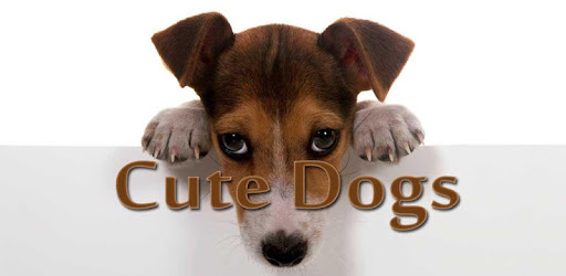 Cute Dogs PC screenshot