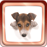 Cute Dogs for PC