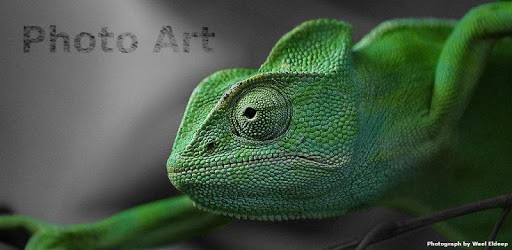 Photo Art - Color Effects PC screenshot Photo Art - Color Effects PC screenshot
