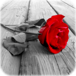 Photo Art - Color Effects icon