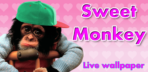 Sweet monkey to dress PC screenshot Sweet monkey to dress PC screenshot