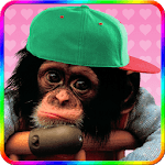 Sweet monkey to dress for PC Sweet monkey to dress for PC