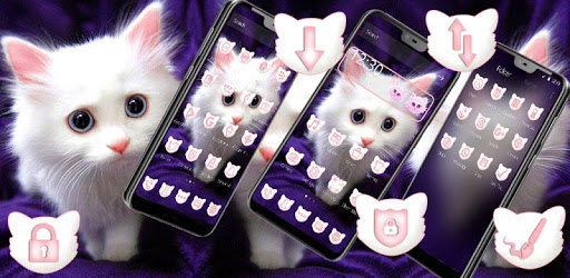 Cute Furry White Cat Theme PC screenshot