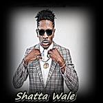 Shatta Wale Songs 2017 for PC
