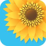 Gallery - Photo Gallery & Video Gallery icon