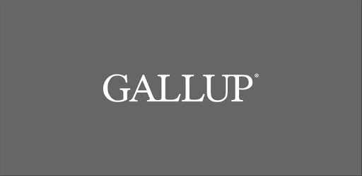 Gallup Access PC screenshot
