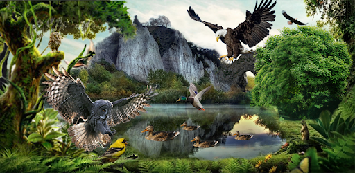 Birds Flying Eagle Simulator 3D PC screenshot