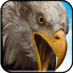 Birds Flying Eagle Simulator 3D icon