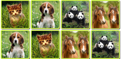 Matching Madness - Animals PC screenshot