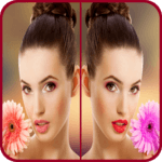 Find Differences Pro for PC Find Differences Pro for PC