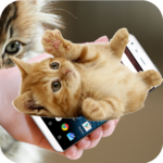 On Screen Cat Walks: Funny & Cute Animation for PC On Screen Cat Walks: Funny & Cute Animation for PC