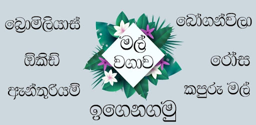 මල් වගාව - Flower Planting PC screenshot