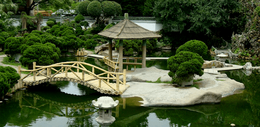 250 Garden Design Ideas PC screenshot 250 Garden Design Ideas PC screenshot