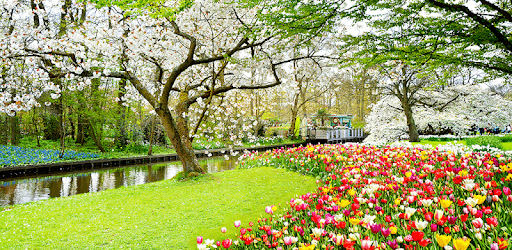 Beautiful Garden Wallpaper PC screenshot