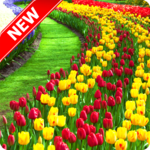 Garden Wallpaper for PC Garden Wallpaper for PC