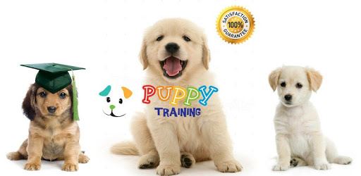 Puppy Training PC screenshot Puppy Training PC screenshot