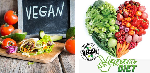 Vegan Diet PC screenshot