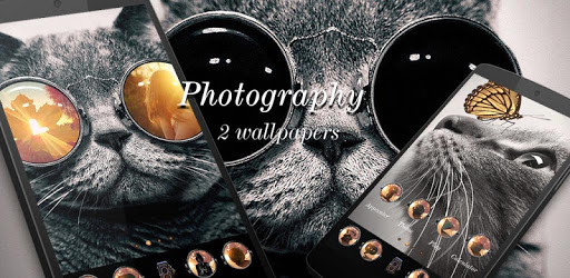 Photography GO Launcher Theme PC screenshot