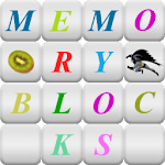 Memory Blocks for PC